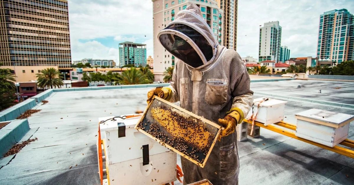 Beekeeping Gloves