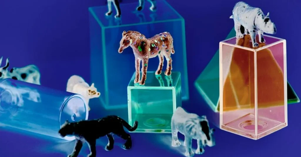 Animal Life Cycle Model Four-Sided Box