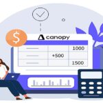 Canopy Accounting