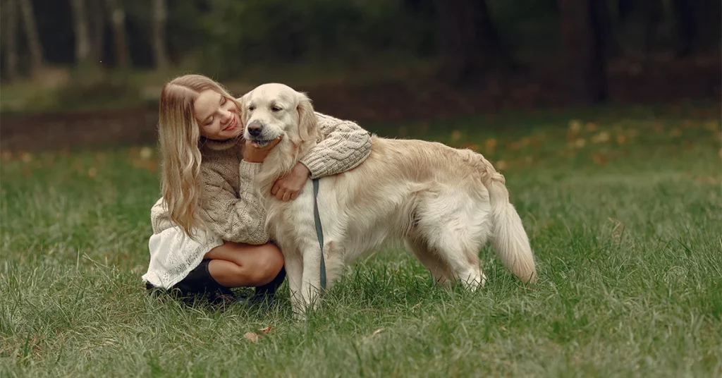 goldendoodle lifespan