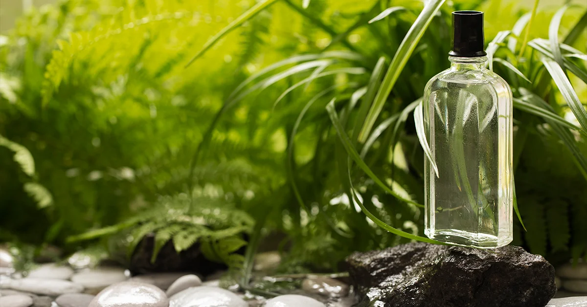 vetiver smell